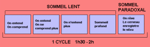sommeil